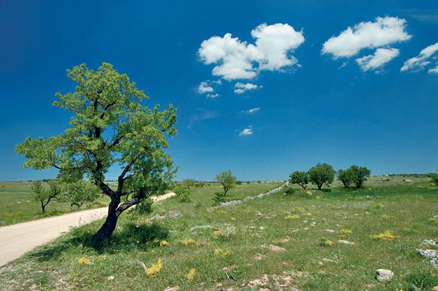 Dominus osteria Cassano Puglia