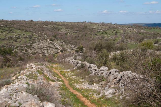 Dominus osteria Cassano Puglia
